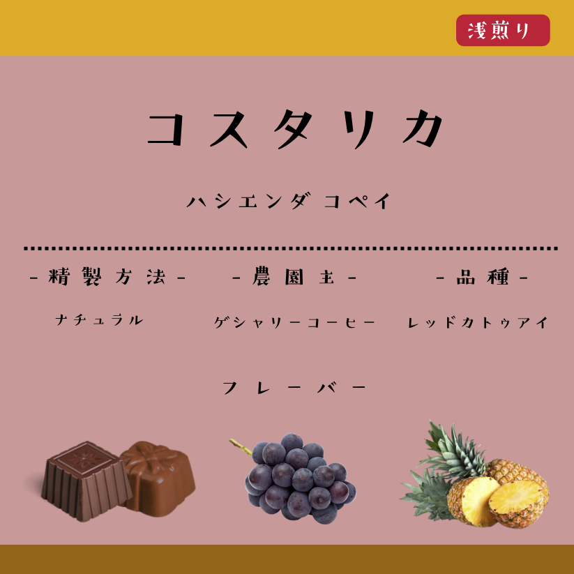 コスタリカ ハシエンダコペイ