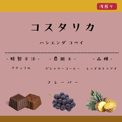 コスタリカ ハシエンダコペイ