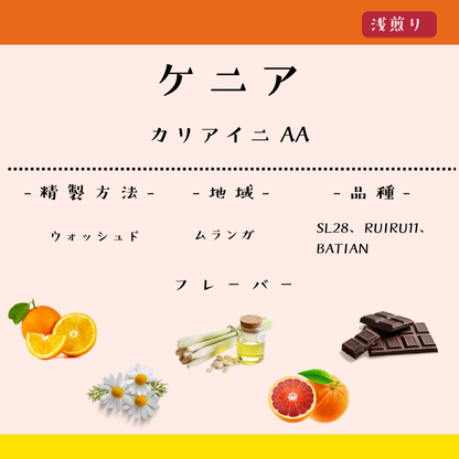 ケニア　カリアイニ　ムランガAA　フリーウォッシュド