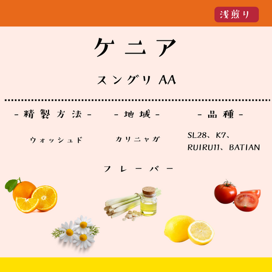 ケニア スングリ AA