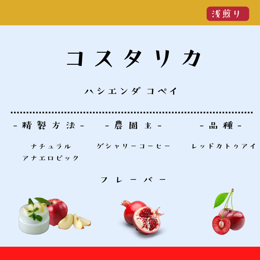 コスタリカ ハシエンダコペイ