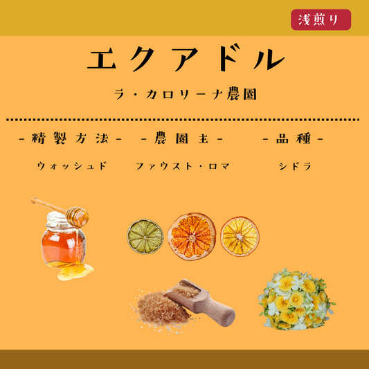 エクアドル　ラ・カロリーナ